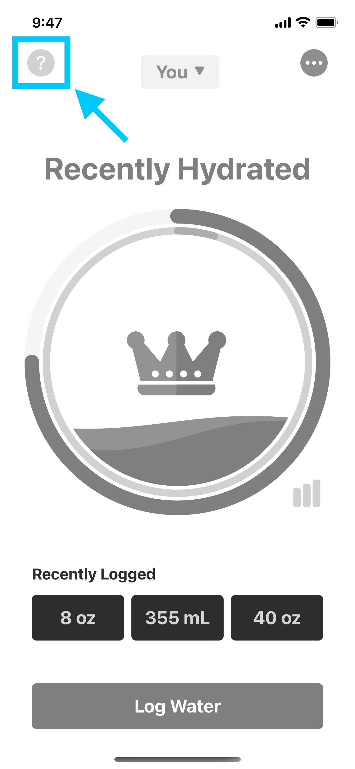 Screenshot of Best Water Tracker app - Home Screen - Help Icon Highlighted